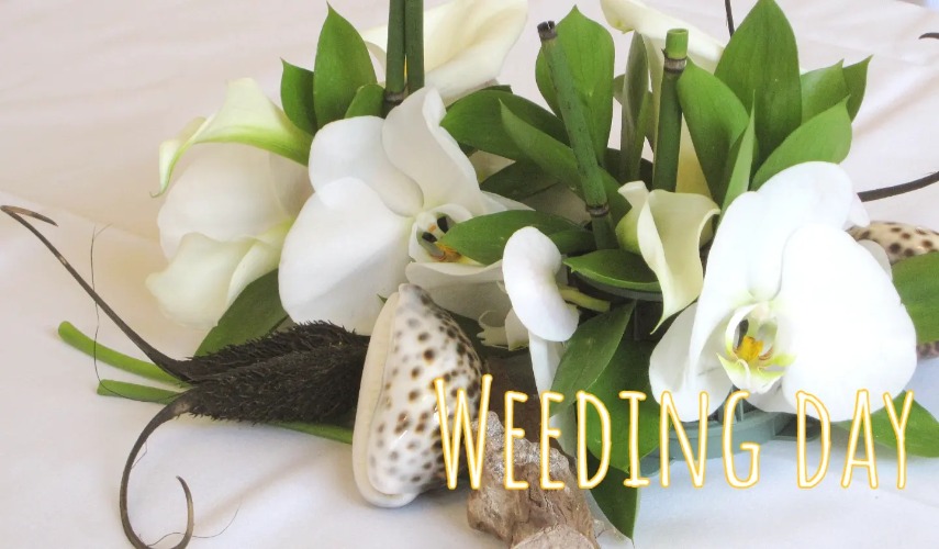 Mariage Voyage Exotique 3.jpg
